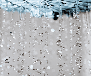 Water dripping from a shower